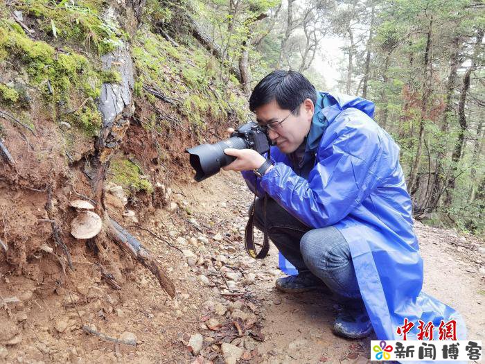 食用菌专家孙达锋：为“云南菌子”固本立标长